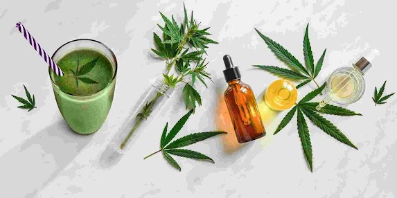 NUTRI&Ccedil;&Atilde;O E O SISTEMA ENDOCANABINOIDE