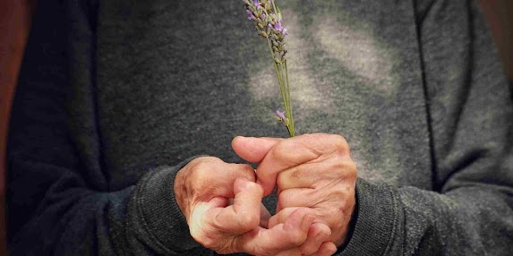 Dia Nacional de Alerta a Doen&ccedil;as Reum&aacute;ticas