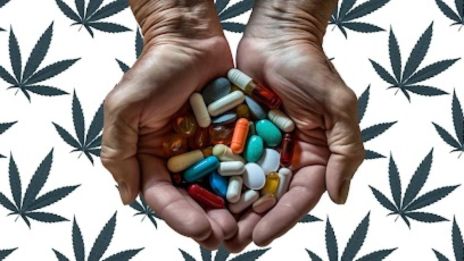 Cannabis pode substituir uma variedade imensa de medicamentos alopáticos