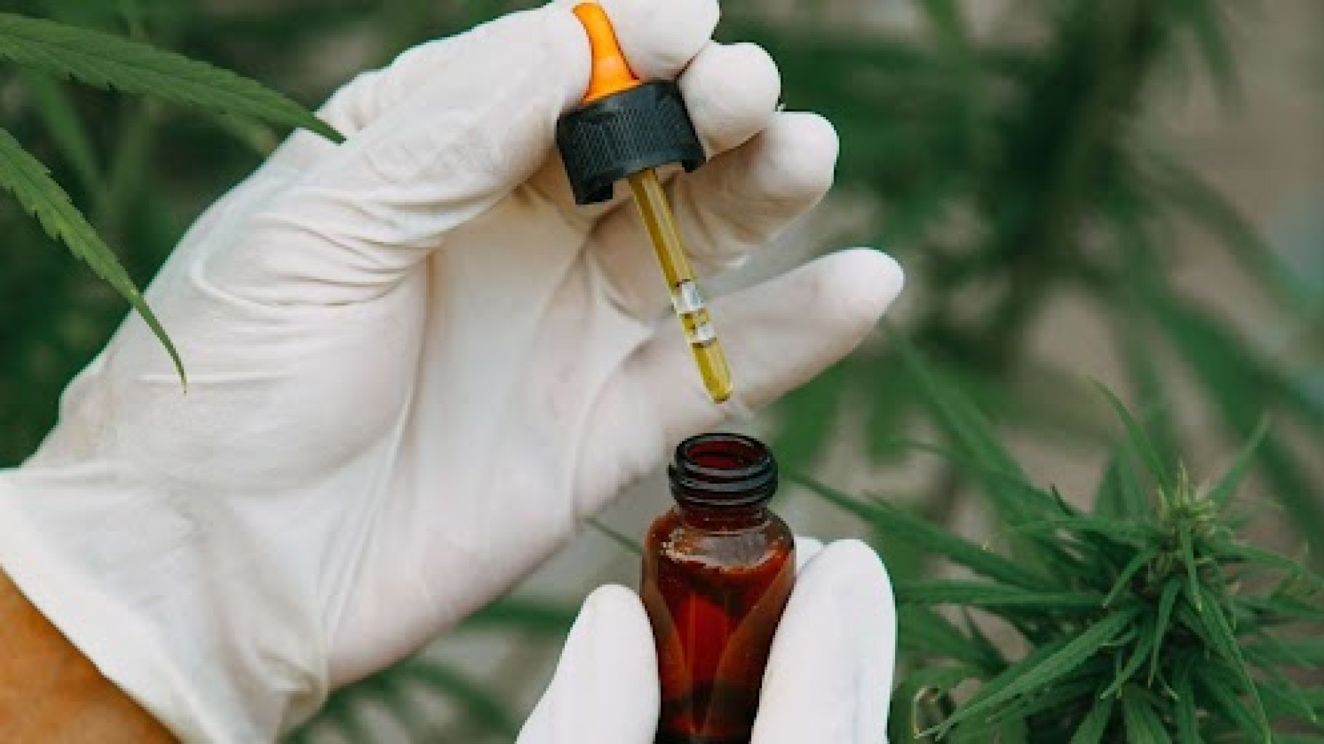 ESTUDO CLÍNICO DUPLO-CEGO CONTROLADO POR PLACEBO  REALIZADO NO BRASIL COM 60 CRIANÇAS REVELA QUE O CBD PROMOVEU MELHORIAS SIGNIFICATIVAS NOS SINTOMAS DO ESPECTRO DO AUTISMO