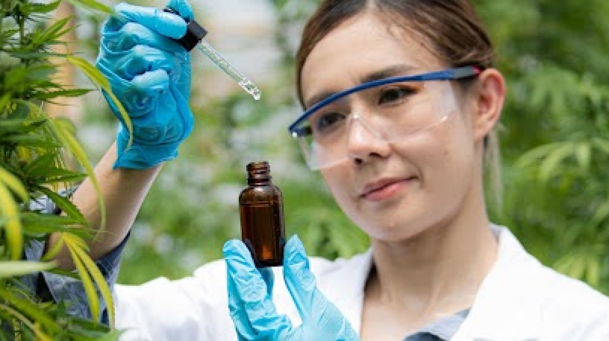 Estudo clínico duplo-cego controlado por placebo realizado no brasil com 60 crianças revela que o cbd promoveu melhorias significativas nos sintomas do espectro do autismo