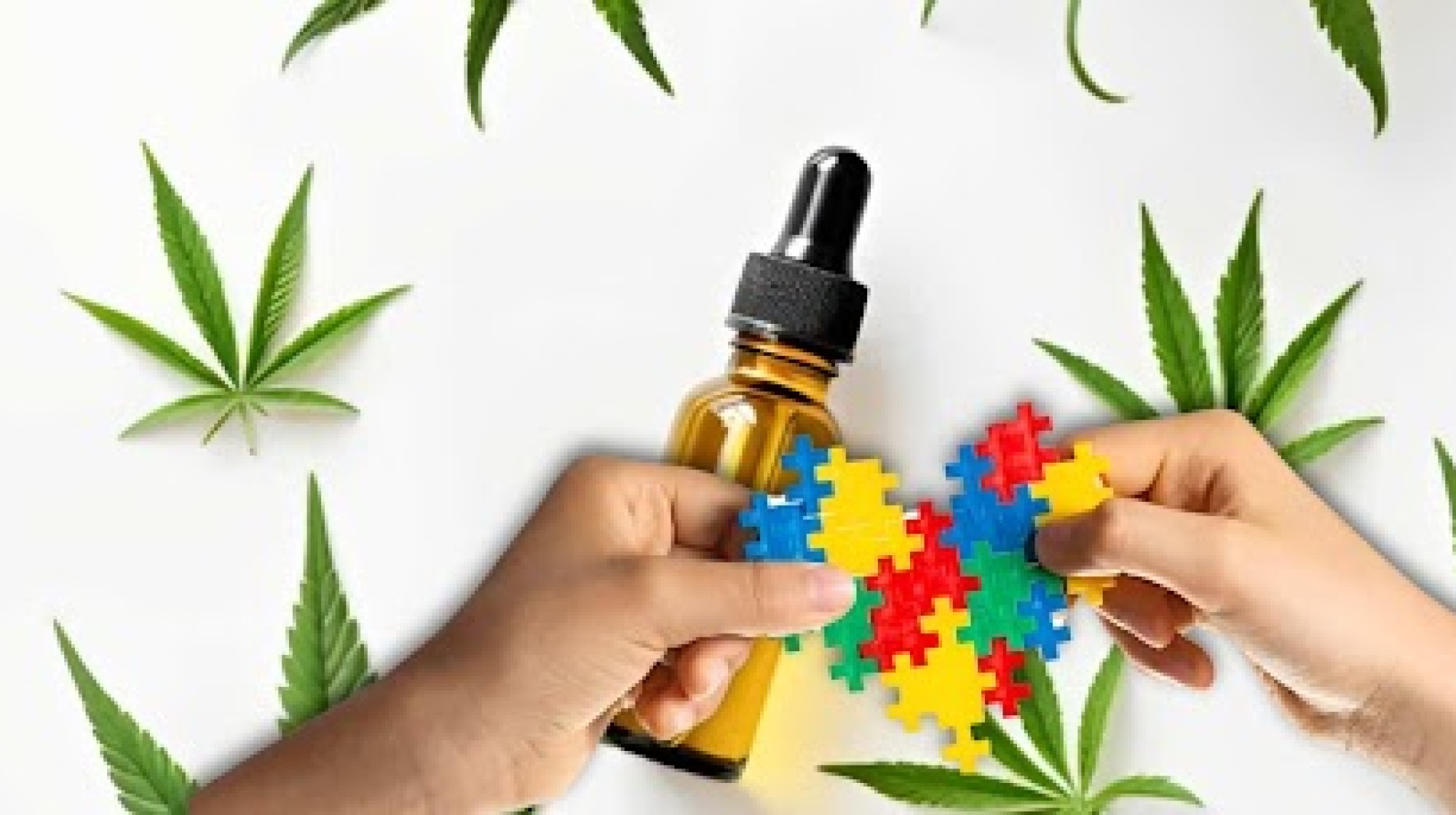 Estudos clínicos com a cannabis para o autismo revelam o grande interesse da comunidade científica em comprovar os resultados Estudos clínicos com a cannabis para o autismo revelam o grande interesse da comunidade científica em comprovar os resultados