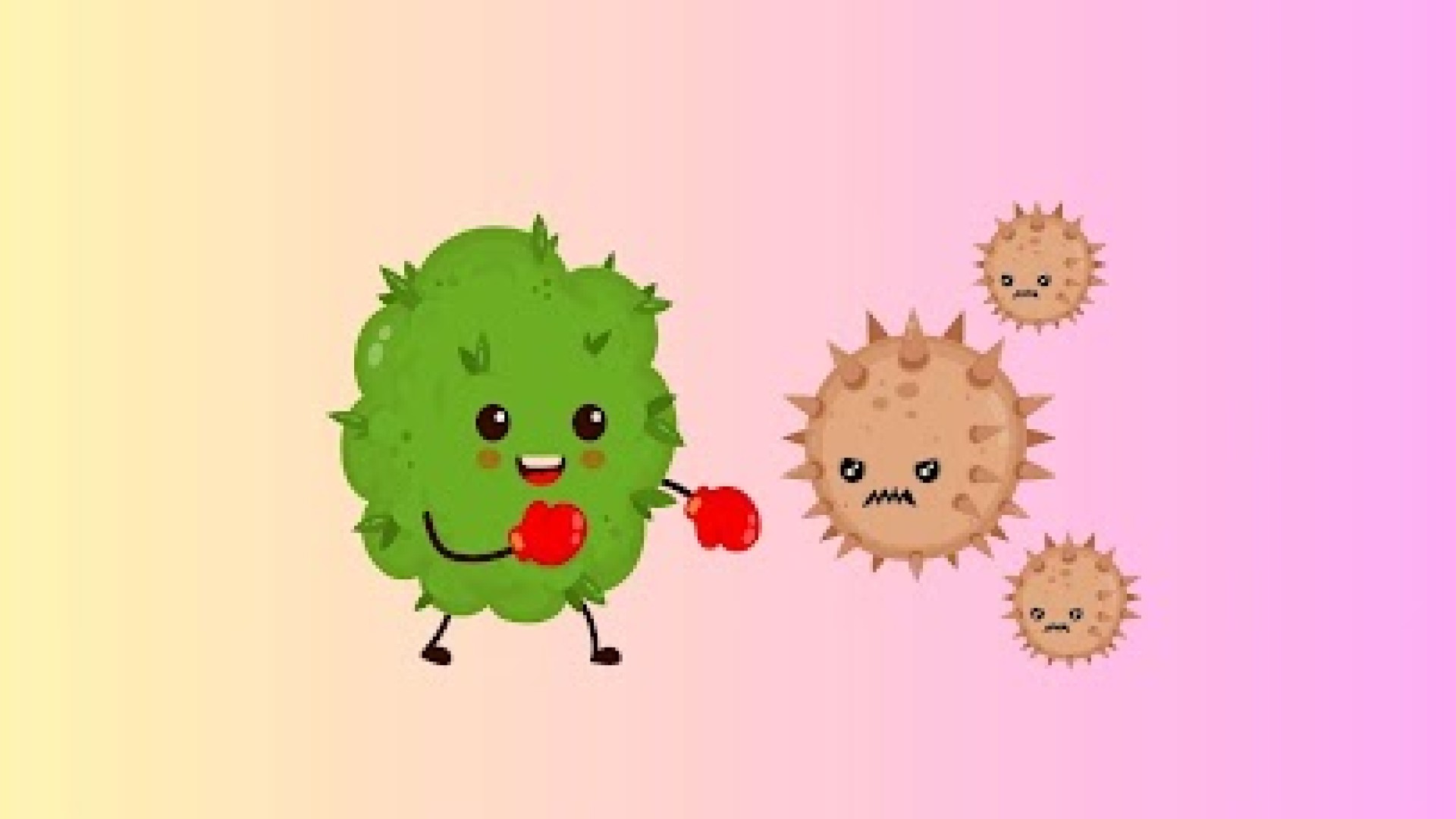 Estudos demonstram potencial antitumoral da Cannabis, e destacam sua função seletiva de atacar apenas as células cancerígenas e não as células normais do corpo