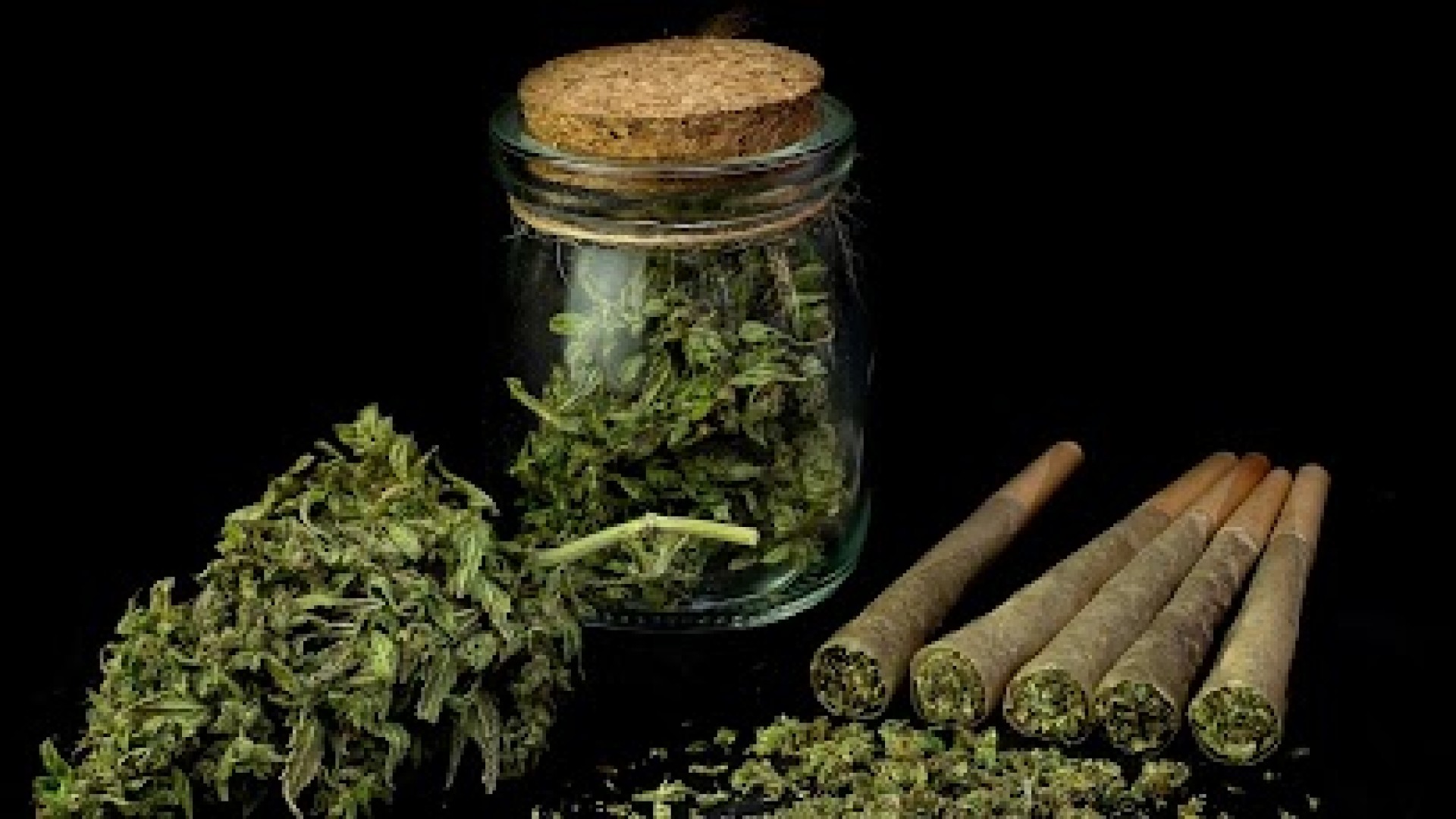 Existem diferenças entre o uso medicinal e o uso recreativo da Cannabis?