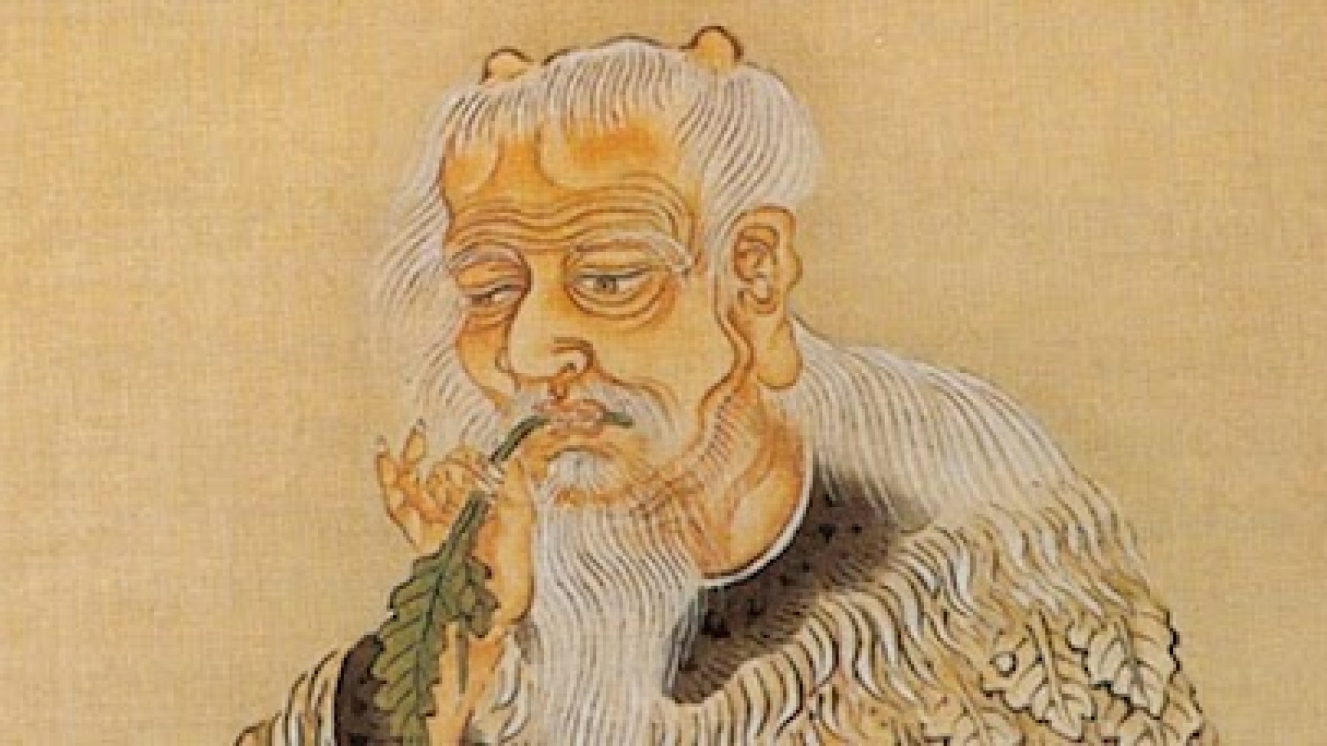 História Da Cannabis Medicinal