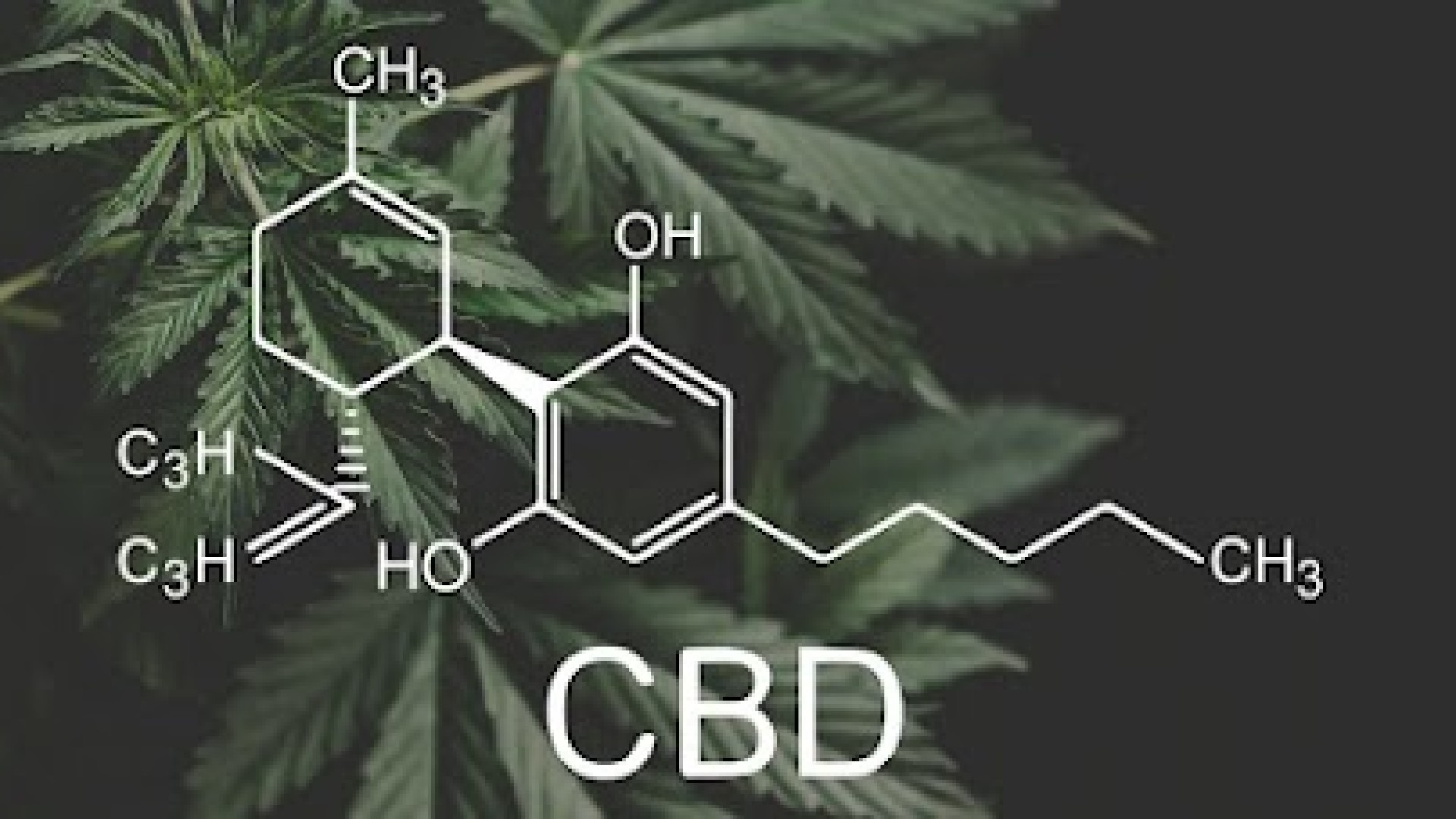 O Que É CBD? E Quais Os Seus Benefícios
