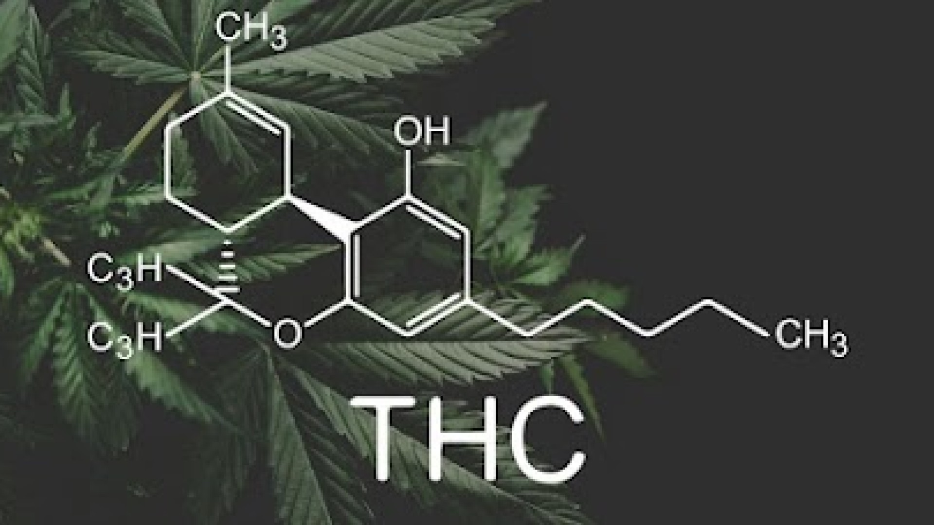 O Que É THC? E Quais Os Seus Benefícios