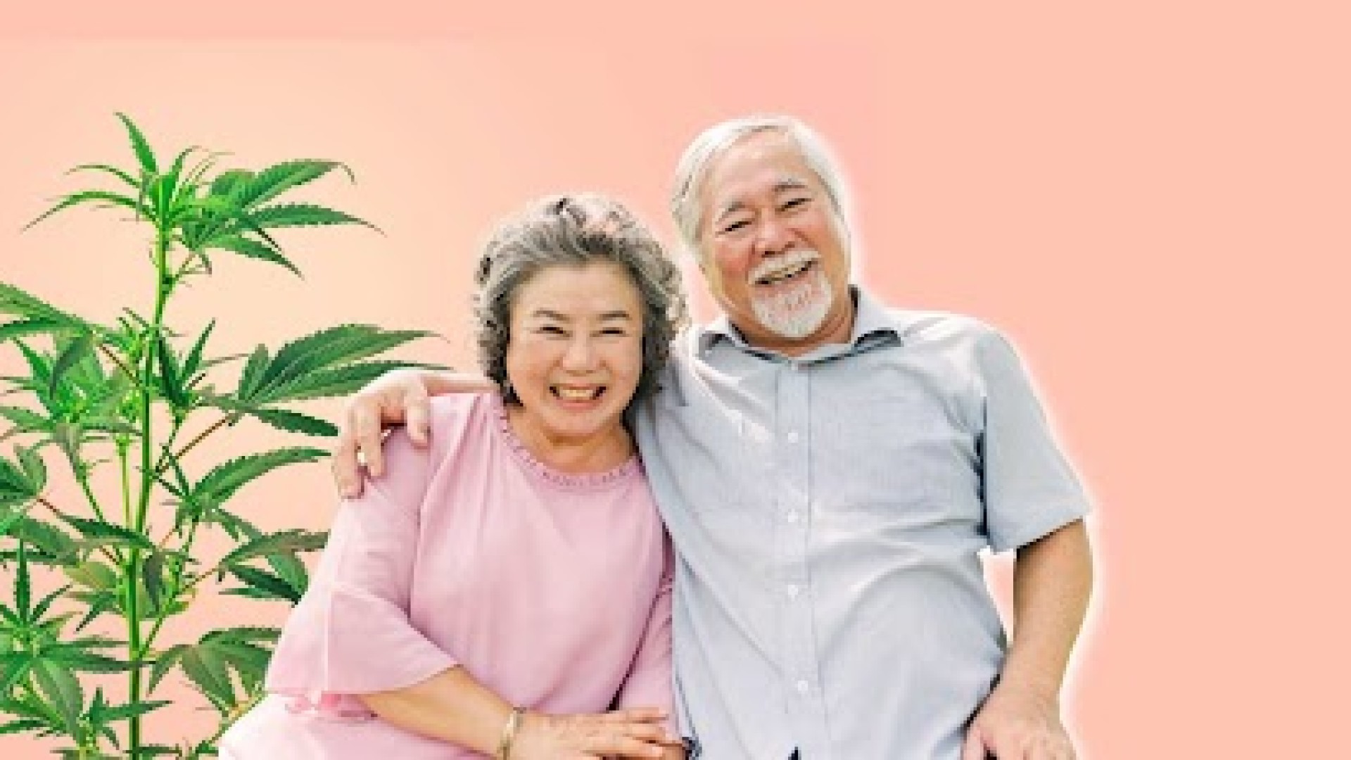 Revisão de estudos revela que todos os canabinoides testados apresentaram propriedades neuroprotetoras para uma série de doenças degenerativas