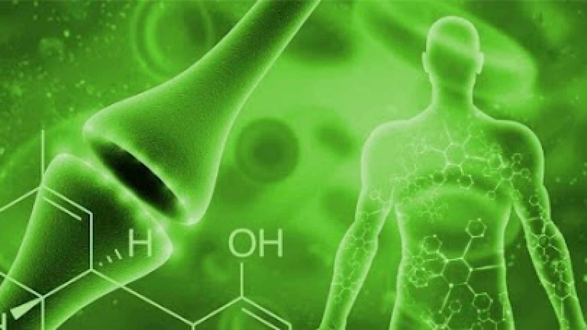 Sistema Endocanabinoide, O Maior Sistema Do Corpo Humano