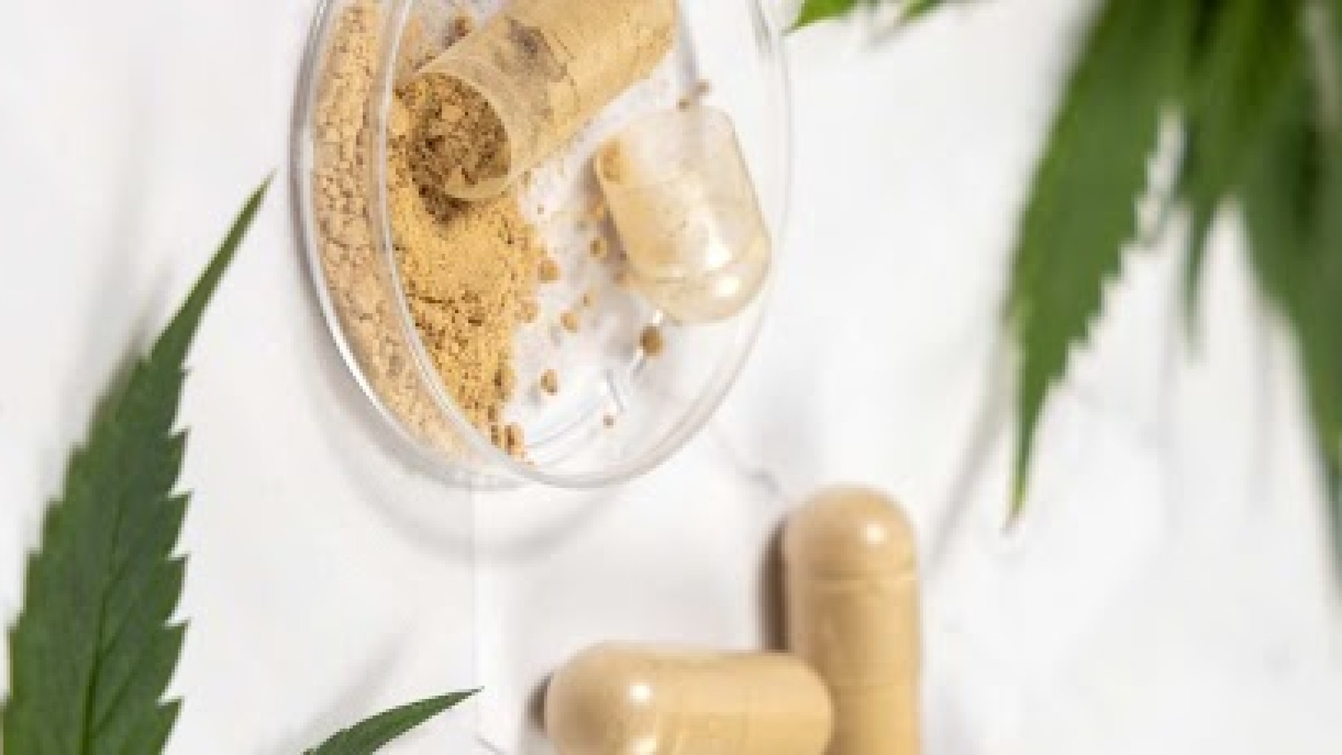 Substitua a Ritalina por canabinoides e integrativos