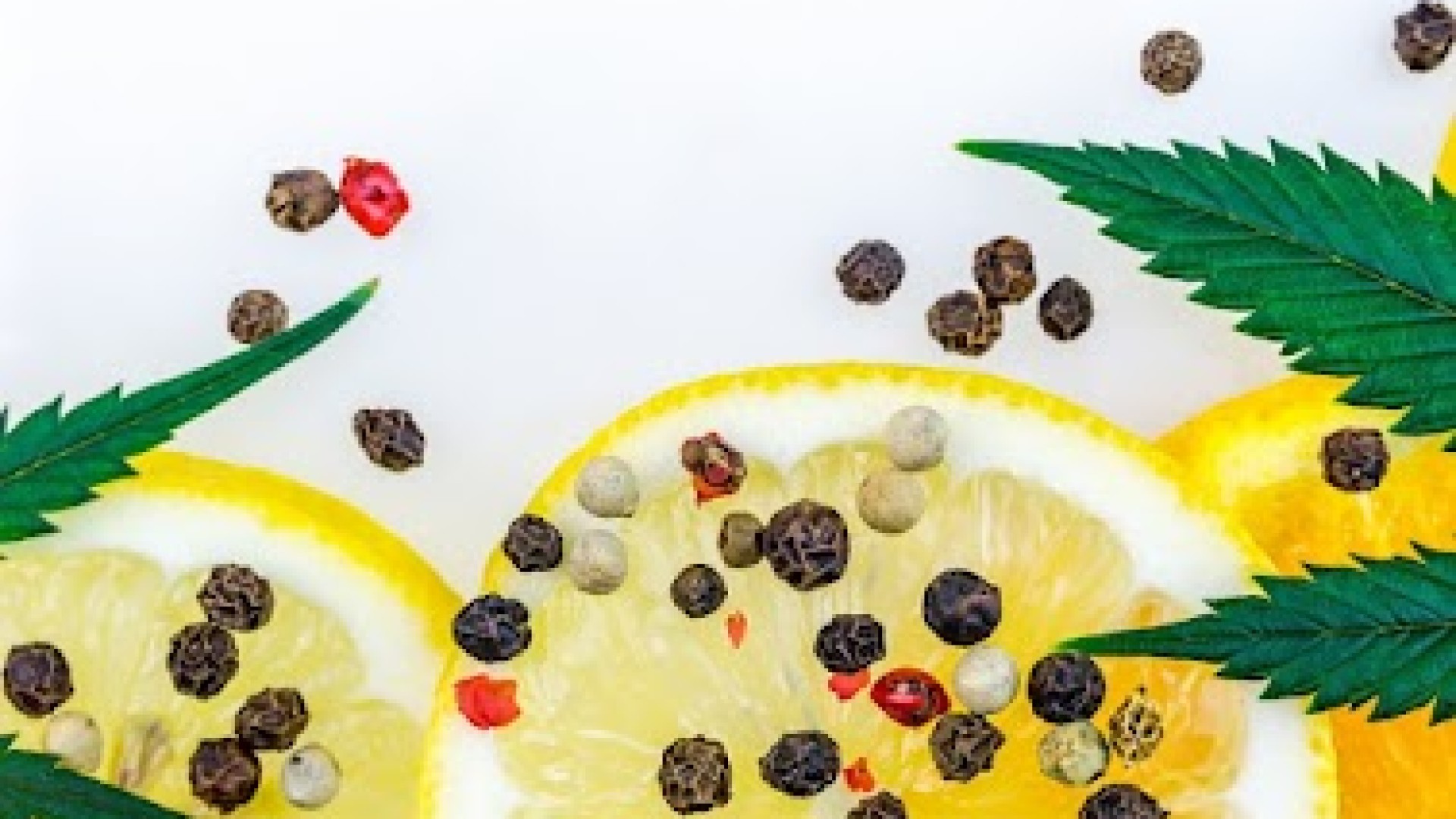 Terpenos. O Que São?